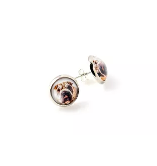 Shar Pei - ensemble de bijoux avec votre photo, accessoire féminin, article fait main, produit fabriqué à la main avec passion pour la création de la marque Art-Dog