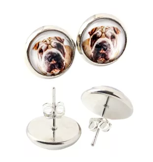 Shar Pei - earrings in a box, your photo, handmade jewelry, a product of the Art-Dog brand