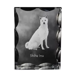 Shiba Inu - Kristall mit einem Hundebild, Glasstatuette mit einem Bild, einzigartiger Bilderrahmen der Marke Art-Dog