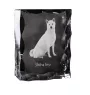 Shiba Inu, Japanese Small Size Dog, Japanese Brushwood Dog - crystal with a picture of a dog, glass statuette with a picture, unique frame with a picture from Art-Dog brand