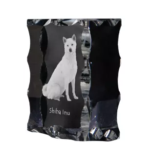 Shiba Inu - Kristall mit einem Hundebild, Glasstatuette mit einem Bild, einzigartiger Bilderrahmen der Marke Art-Dog