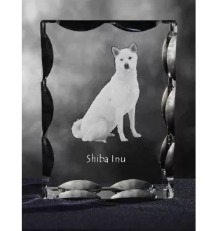Shiba Inu, Japanese Small Size Dog, Japanese Brushwood Dog - crystal with a picture of a dog, glass statuette with a picture, unique frame with a picture from Art-Dog brand