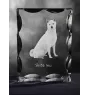 Shiba Inu, Japanese Small Size Dog, Japanese Brushwood Dog - crystal with a picture of a dog, glass statuette with a picture, unique frame with a picture from Art-Dog brand