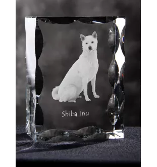 Shiba Inu - Kristall mit einem Hundebild, Glasstatuette mit einem Bild, einzigartiger Bilderrahmen der Marke Art-Dog
