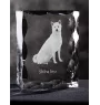Shiba Inu, Japanese Small Size Dog, Japanese Brushwood Dog - crystal with a picture of a dog, glass statuette with a picture, unique frame with a picture from Art-Dog brand