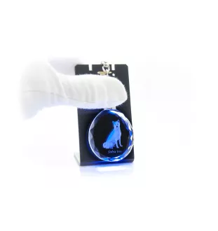 Shiba Inu - pendentif avec une photo de chien, porte-clés en cristal dans une boîte cadeau, un cadeau unique par Art-Dog