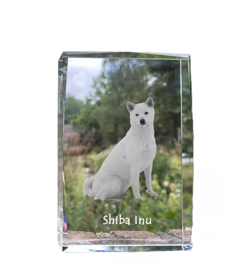 Shiba Inu - Kristall mit einem Hundebild, Bild im Glas, moderne Ausstellung des Art-Dog-Bildes.