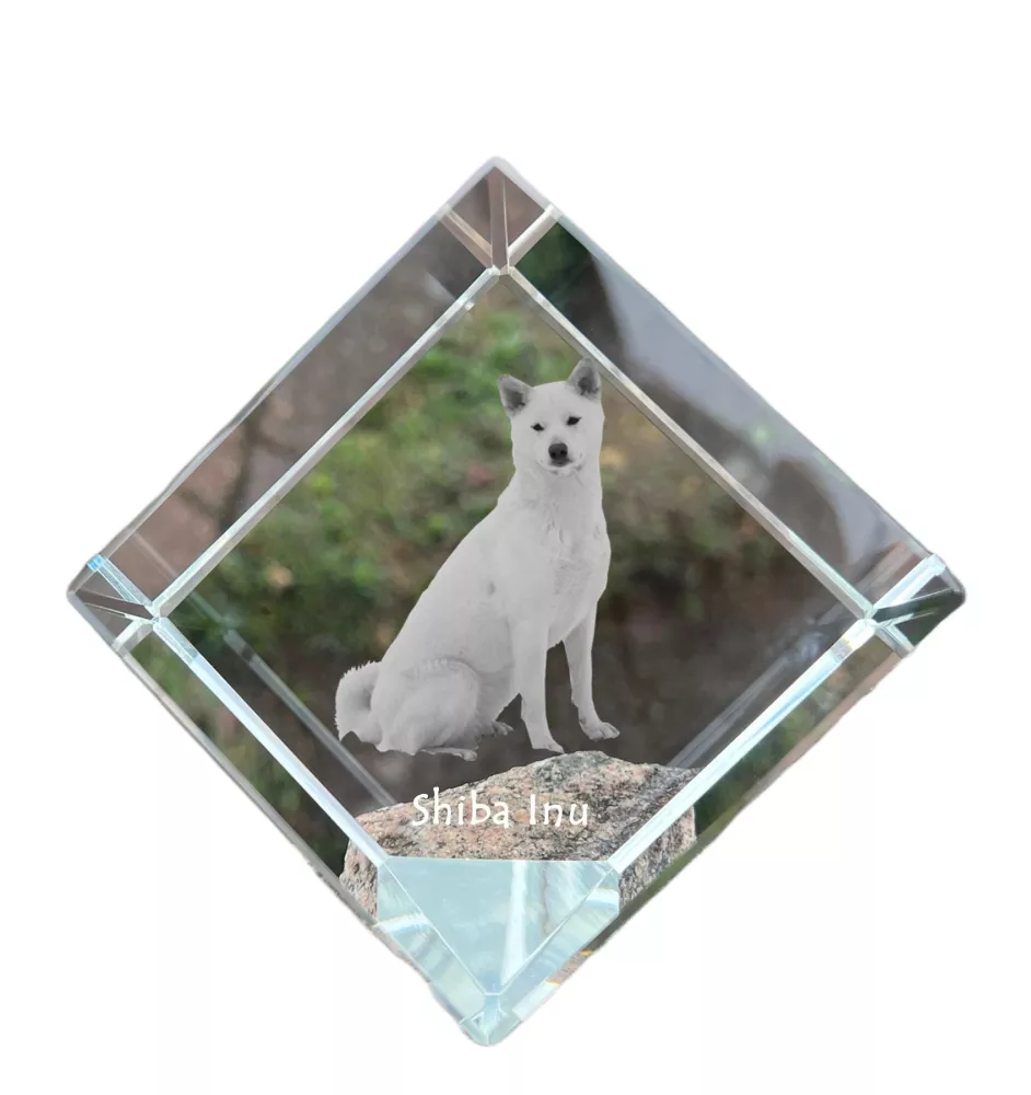 Shiba Inu, Japanese Small Size Dog, Japanese Brushwood Dog - crystal cube with a photo, photo of a horse in crystal, cubic paperweight from Art-Dog brand