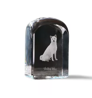 Shiba Inu, Japanese Small Size Dog, Japanese Brushwood Dog - crystal cube with a photo, photo of a dog in crystal, cubic paperweight from Art-Dog brand