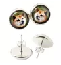 Shiba Inu, Japanese Small Size Dog, Japanese Brushwood Dog - earrings in a box, your photo, handmade jewelry, a product of the Art-Dog brand