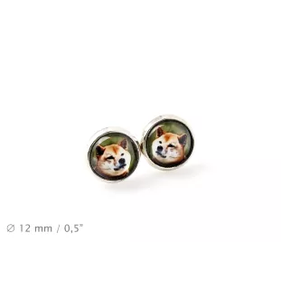 Shiba Inu, Japanese Small Size Dog, Japanese Brushwood Dog - earrings in a box, your photo, handmade jewelry, a product of the Art-Dog brand
