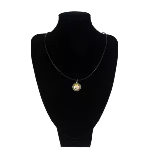 Shiba Inu - collier dans une boîte, élégant bijou, pendentif de la marque Art-Dog