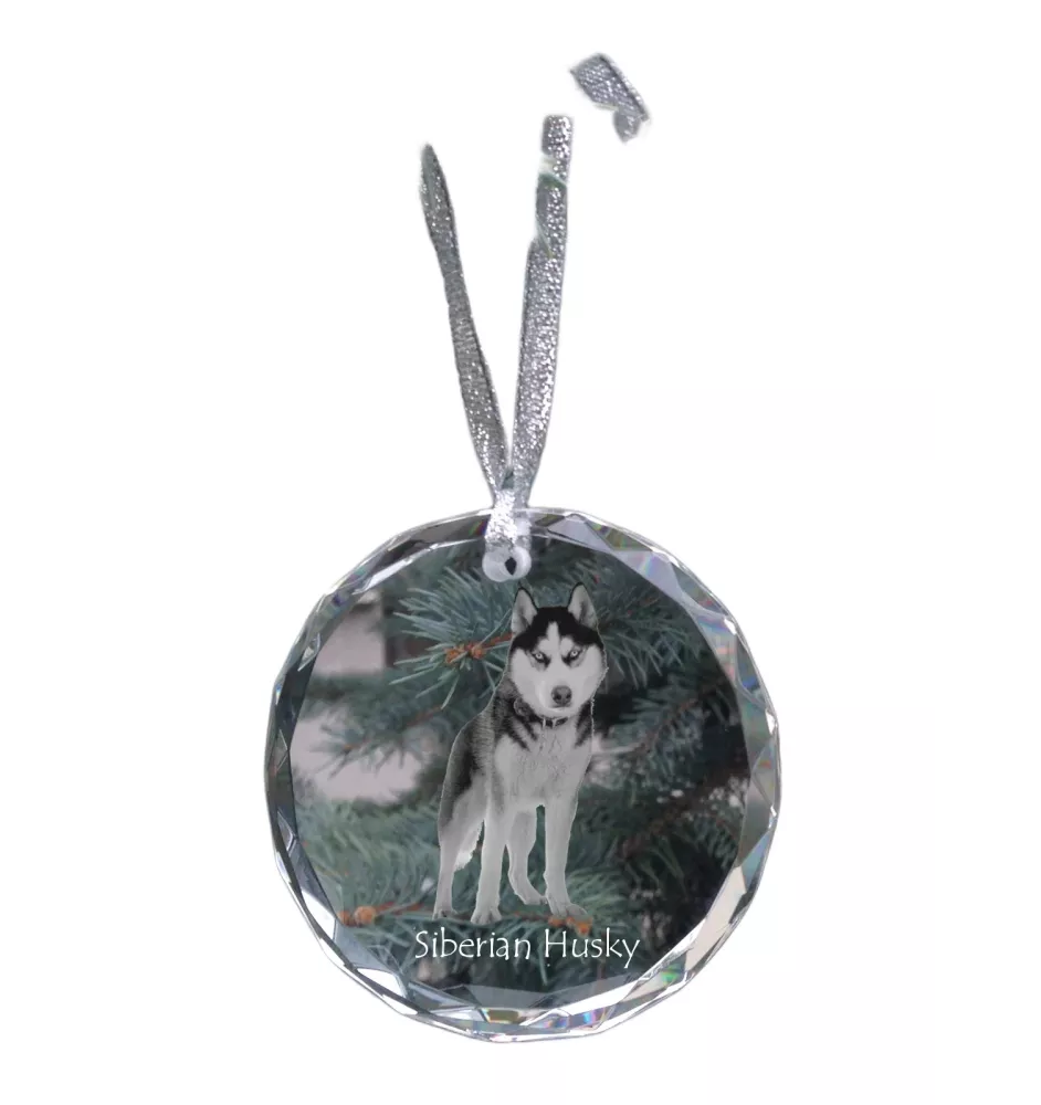 Husky syberyjski medal kryształowy z psem Art-Dog