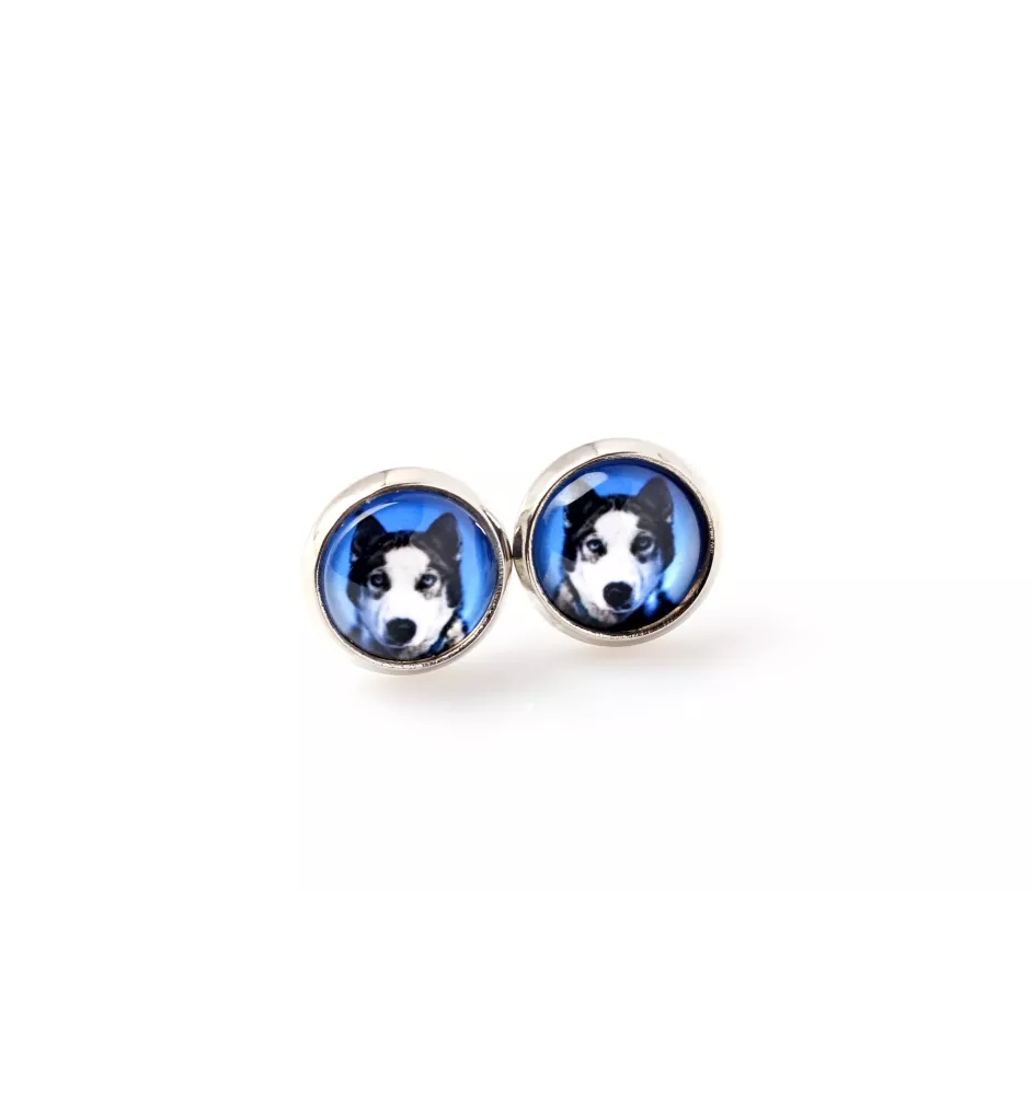 Siberian Husky, Chukcha - earrings your photo handmade, own photo, jewelry from the Art.-Dog brand