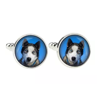 Husky syberyjski spinka do mankietów w pudełku ze zdjęciem Art-Dog