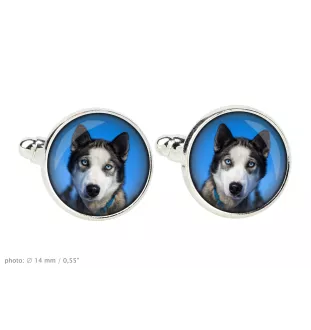 Siberian Husky, Chukcha - cufflinks in a box, handmade jewelry, product of the Art-Dog brand