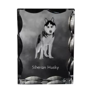 Siberian Husky, Chukcha - crystal with a picture of a dog, glass statuette with a picture, unique frame with a picture from Art-Dog brand