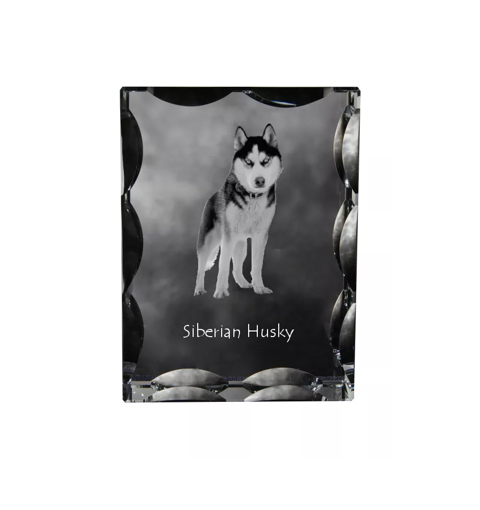 Siberian Husky, Chukcha - crystal with a picture of a dog, glass statuette with a picture, unique frame with a picture from Art-Dog brand