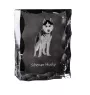 Husky de Sibérie, Husky sibérien - cristal avec photo de chien, statuette en verre avec photo, cadre exceptionnel avec photo de la marque Art-Dog