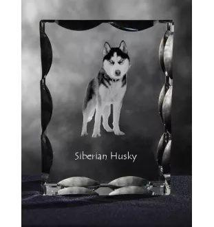 Husky de Sibérie, Husky sibérien - cristal avec photo de chien, statuette en verre avec photo, cadre exceptionnel avec photo de la marque Art-Dog