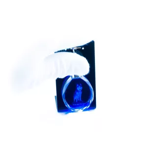 Husky de Sibérie, Husky sibérien - pendentif avec une photo de chien, porte-clés en cristal dans une boîte cadeau, un cadeau unique par Art-Dog