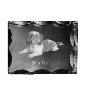Shih Tzu - cristal avec photo de chien, statuette en verre avec photo, cadre exceptionnel avec photo de la marque Art-Dog