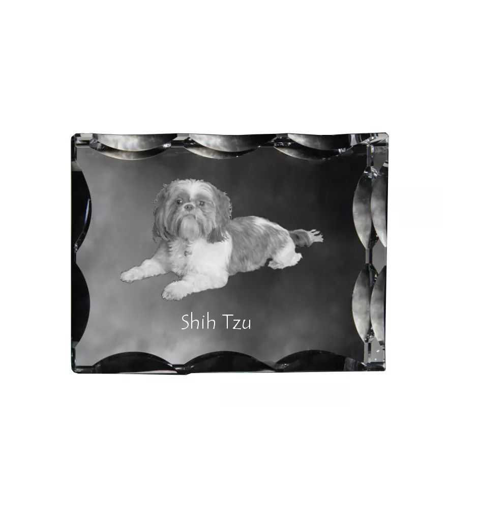 Shih Tzu, Chrysanthemum Dog - crystal with a picture of a dog, glass statuette with a picture, unique frame with a picture from Art-Dog brand