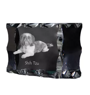 Shih Tzu, Chrysanthemum Dog - crystal with a picture of a dog, glass statuette with a picture, unique frame with a picture from Art-Dog brand