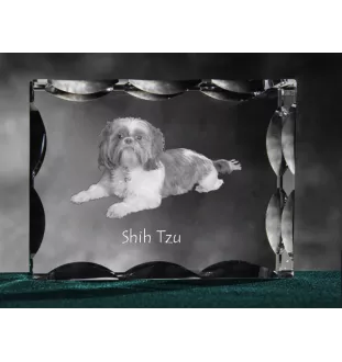 Shih Tzu, Chrysanthemum Dog - crystal with a picture of a dog, glass statuette with a picture, unique frame with a picture from Art-Dog brand