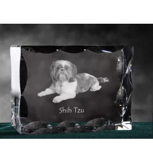 Shih Tzu - Kristall mit einem Hundebild, Glasstatuette mit einem Bild, einzigartiger Bilderrahmen der Marke Art-Dog