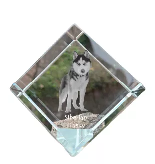 Siberian Husky, Chukcha - crystal cube with a photo, photo of a horse in crystal, cubic paperweight from Art-Dog brand