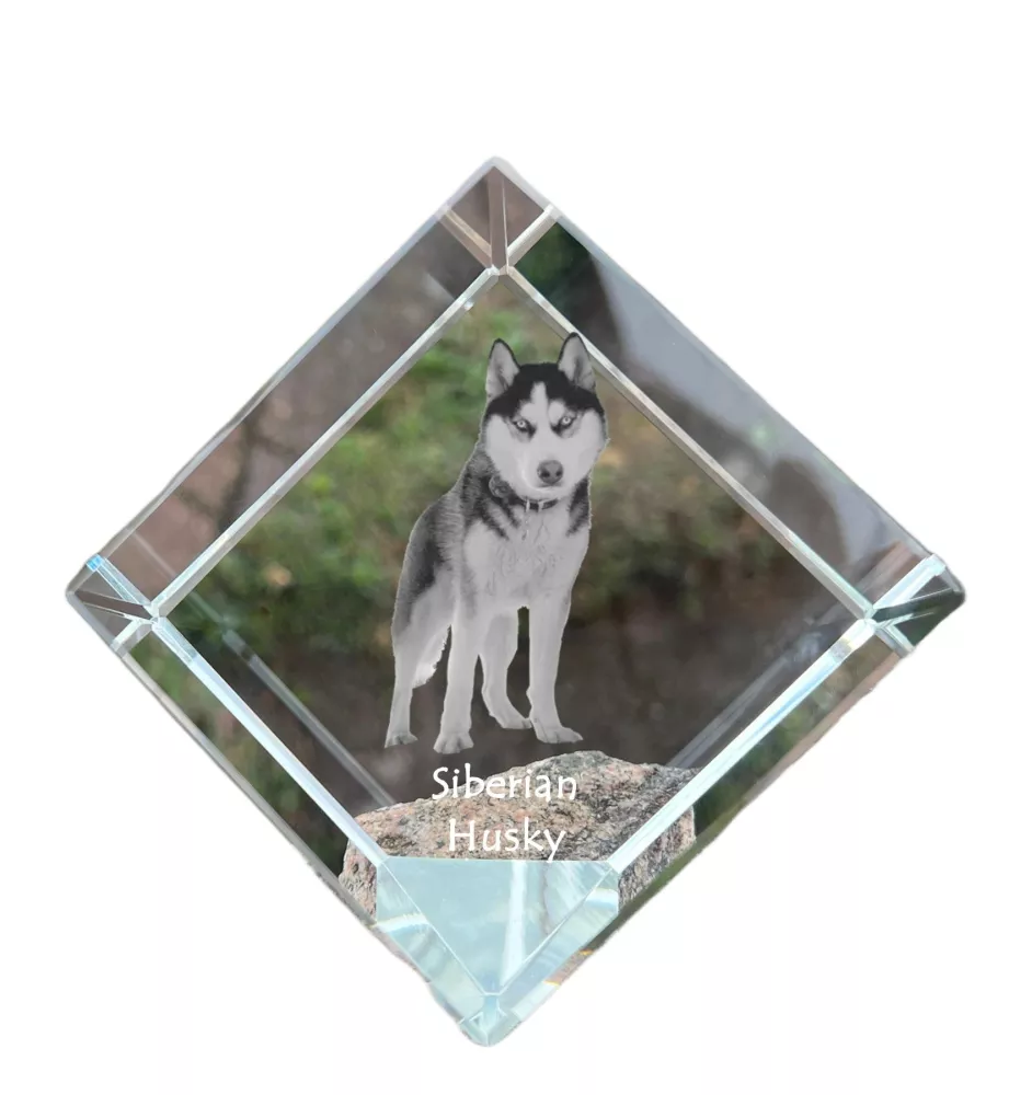 Husky de Sibérie, Husky sibérien - un cube de cristal avec une photo, une photo de cheval dans le cristal, un presse-papiers cubique de la marque Art-Dog