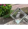 Siberian Husky, Chukcha - crystal cube with a photo, photo of a horse in crystal, cubic paperweight from Art-Dog brand