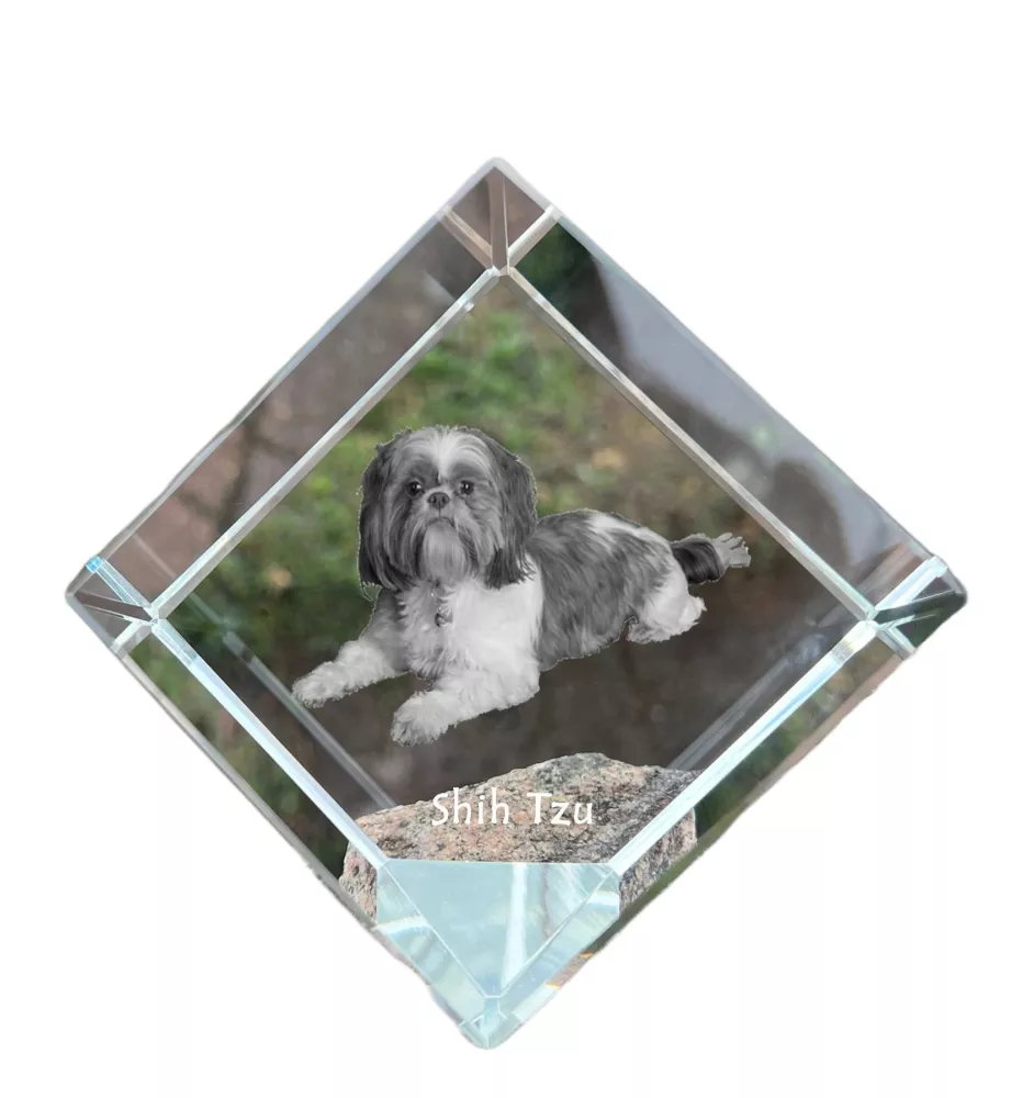 Shih Tzu - Kristallwürfel mit Bild, Pferdebild im Kristall, sechseckiger Papierclip der Marke Art-Dog