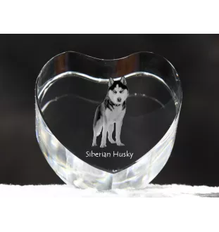 Siberian Husky, Chukcha - a photo of a dog in crystal, crystal heart, unique photo frame from the Art-Dog brand