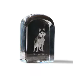 Siberian Husky, Chukcha - crystal cube with a photo, photo of a dog in crystal, cubic paperweight from Art-Dog brand