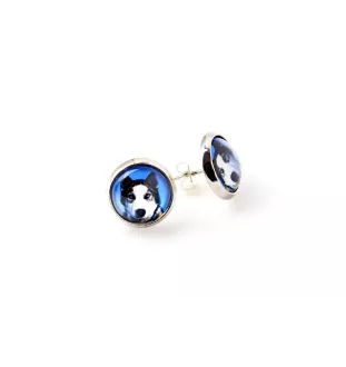 Siberian Husky, Chukcha - a set of jewelry in a box, necklace, earrings, bracelet, products from the Art-Dog brand