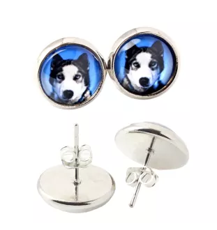 Husky de Sibérie, Husky sibérien - boucles d'oreilles dans une boîte, votre photo, bijoux faits à la main, produit de la marque Art-Dog.