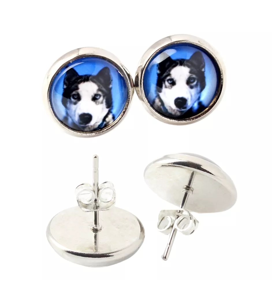 Husky de Sibérie, Husky sibérien - boucles d'oreilles dans une boîte, votre photo, bijoux faits à la main, produit de la marque Art-Dog.
