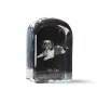 Shih Tzu, Chrysanthemum Dog - crystal cube with a photo, photo of a dog in crystal, cubic paperweight from Art-Dog brand