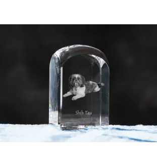 Shih Tzu, Chrysanthemum Dog - crystal cube with a photo, photo of a dog in crystal, cubic paperweight from Art-Dog brand