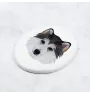 Husky de Sibérie, Husky sibérien - une plaque avec une photo et un motif géométrique de la marque Art-Dog