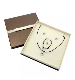 Shih Tzu, Chrysanthemum Dog - a set of jewelry in a box, necklace, earrings, bracelet, products from the Art-Dog brand