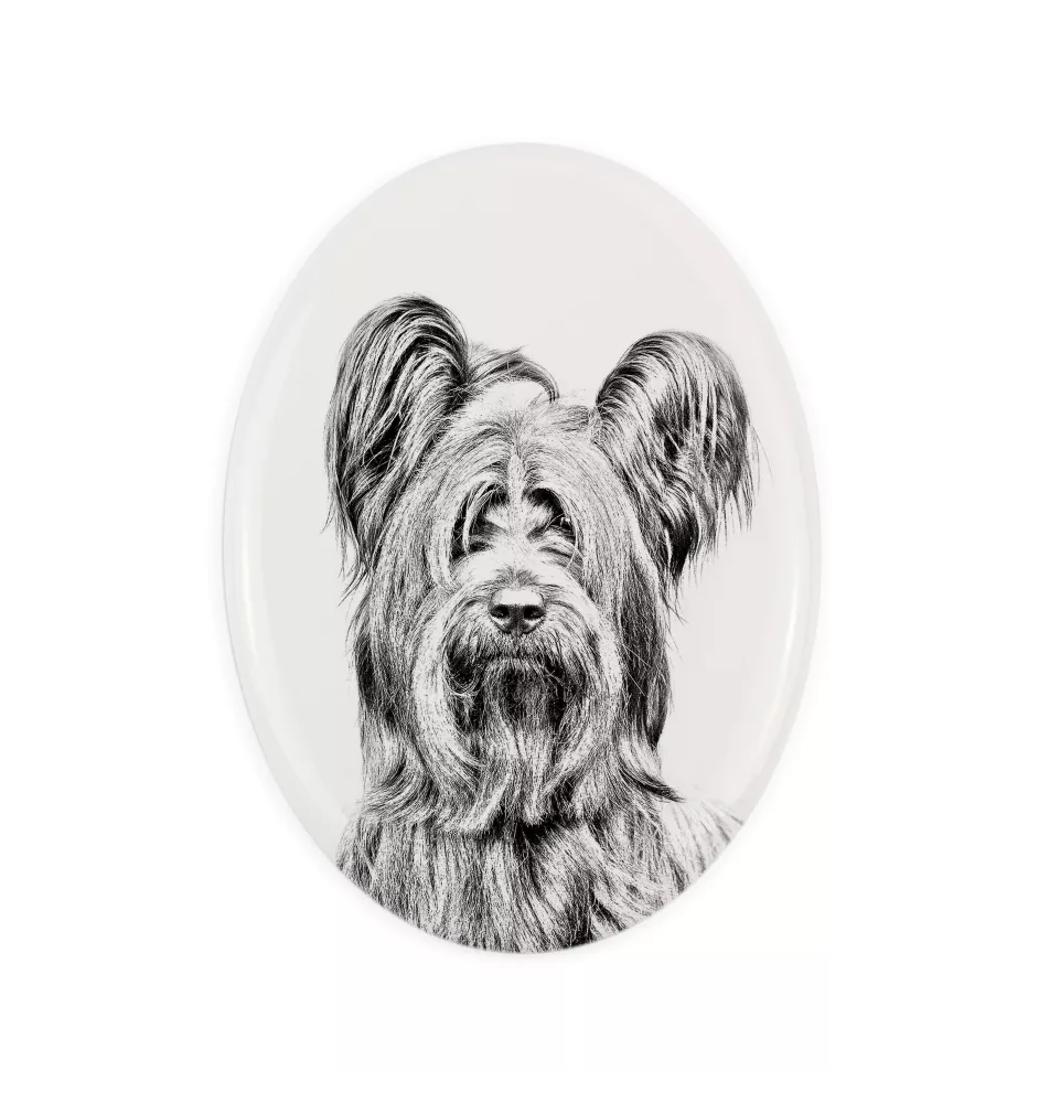 Silky Terrier - commemorative plaque with a photo of a dog, tombstone with a print, personalized oval plaque from the Art-Dog brand