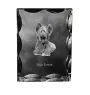 Silky Terrier - crystal with a picture of a dog, glass statuette with a picture, unique frame with a picture from Art-Dog brand