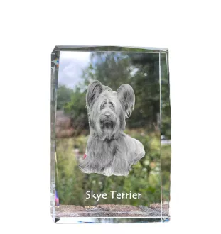 Skye Terrier - cristal avec une photo de chien, photo sous verre, exposition moderne de la marque de photos Art-Dog