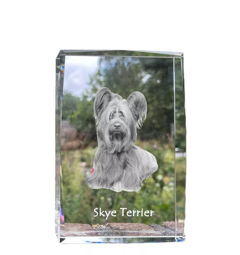 Skye Terrier - cristal avec une photo de chien, photo sous verre, exposition moderne de la marque de photos Art-Dog