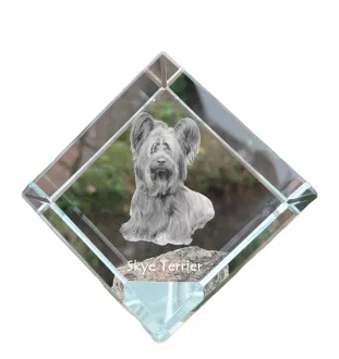 Skye Terrier - Kristallwürfel mit Bild, Pferdebild im Kristall, sechseckiger Papierclip der Marke Art-Dog