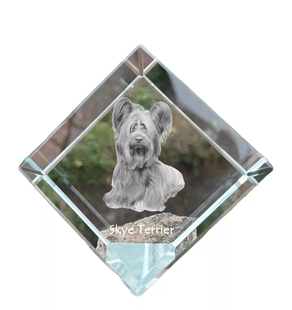 Skye Terrier kostka kryształowa z psem Art-Dog
