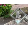 Silky Terrier - crystal cube with a photo, photo of a horse in crystal, cubic paperweight from Art-Dog brand